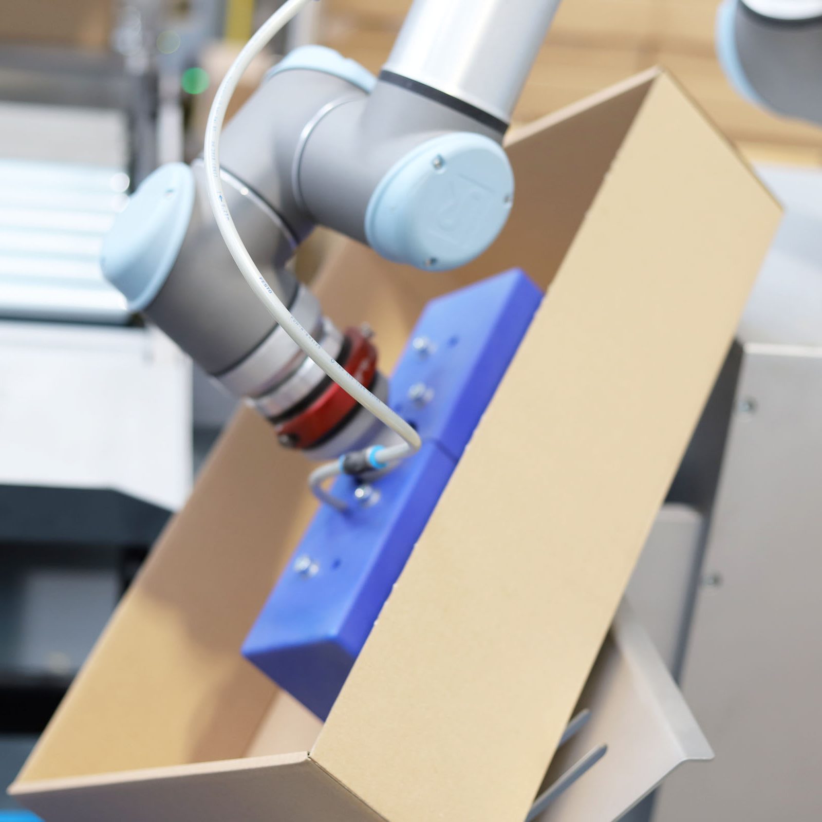 Collaborative robot picks up an open cardboard box with precision.